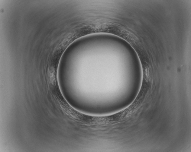 X0000070380963200606121249