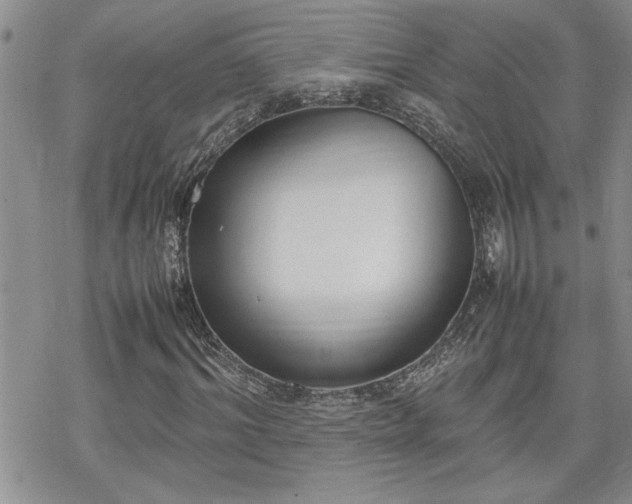 X0000070380964200606121249