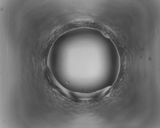 X0000070380965200606121249