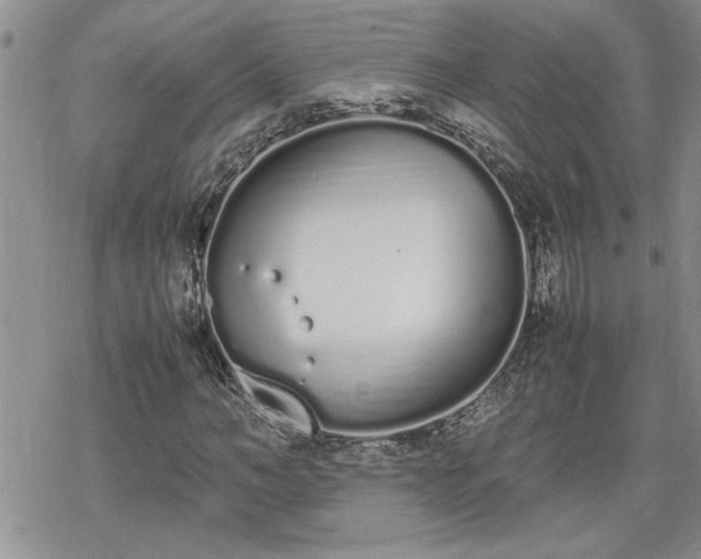 X0000070380966200606121249