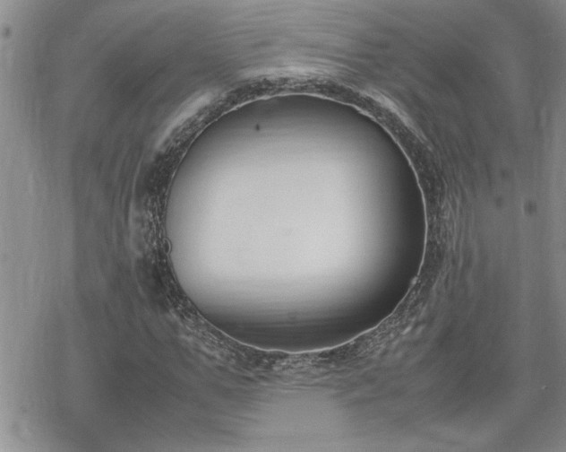 X0000070380967200606121248