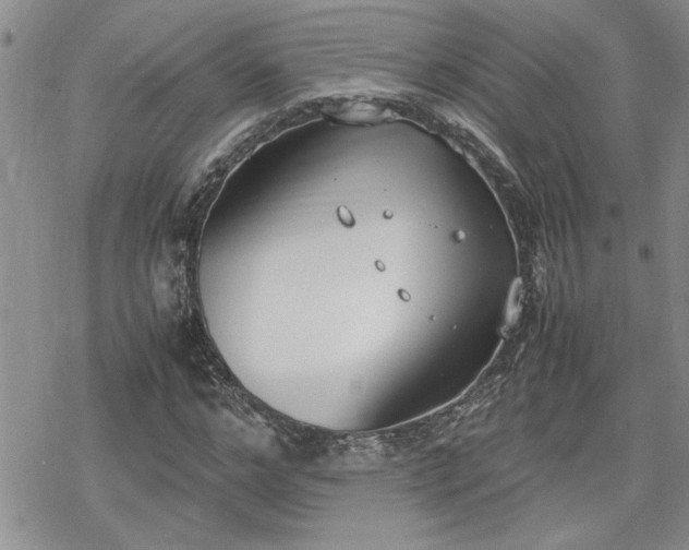 X0000070380968200606121248