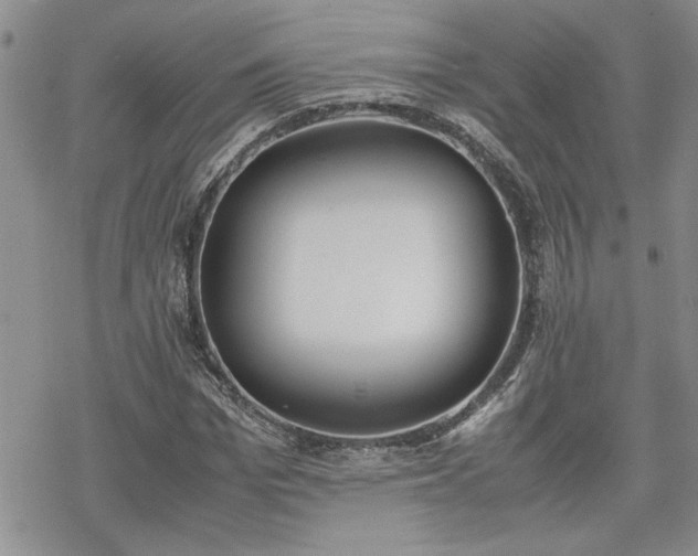 X0000070380969200606121248