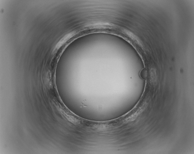 X0000070380970200606121248