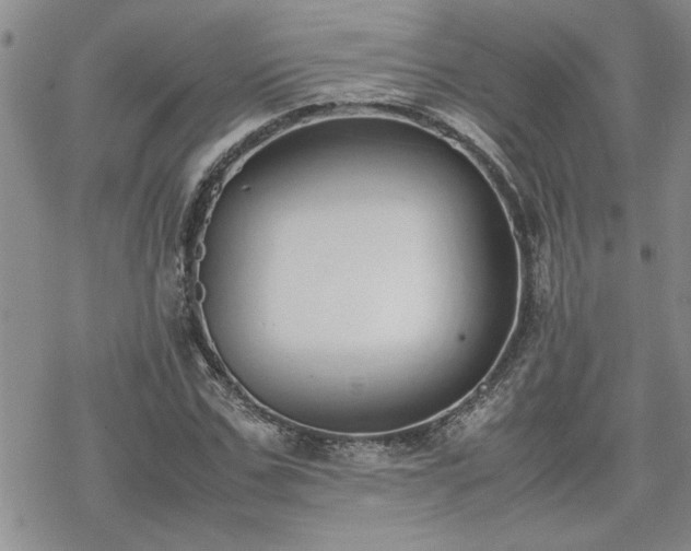 X0000070380971200606121248