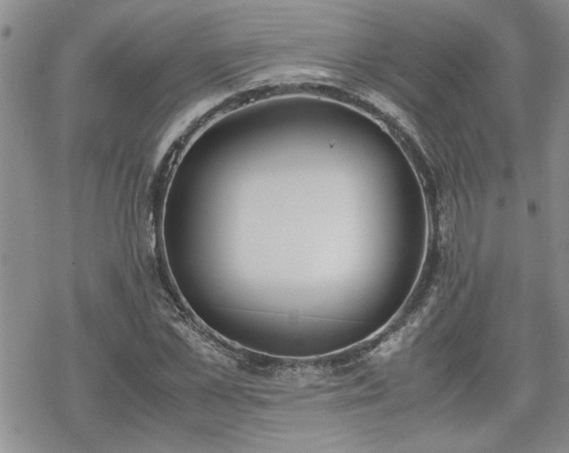 X0000070380973200606121248