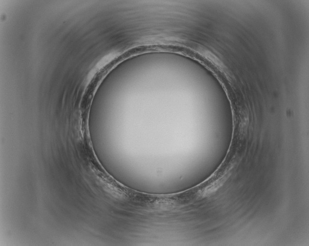 X0000070380974200606121248