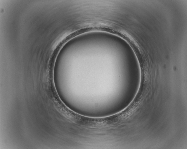 X0000070380975200606121248