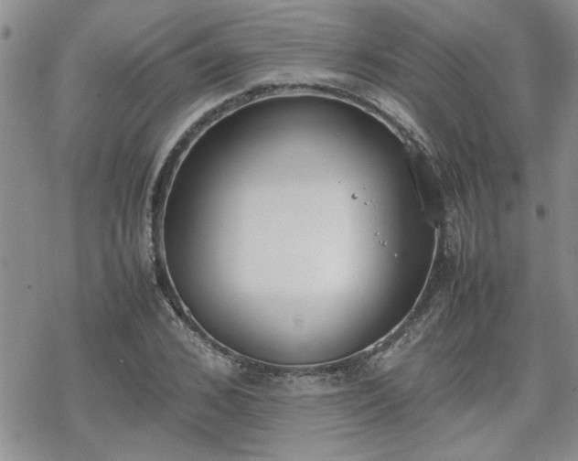 X0000070380976200606121248