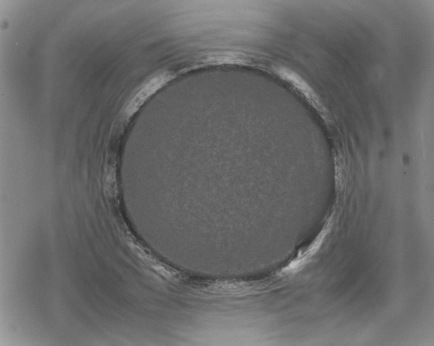 X0000070380977200606121248