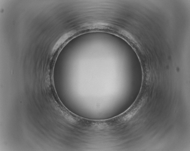 X0000070380978200606121248