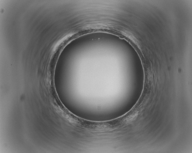 X0000070380979200606121248