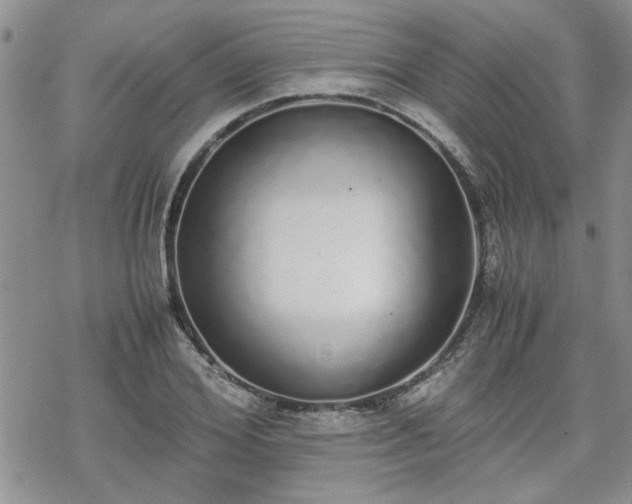 X0000070380980200606121248