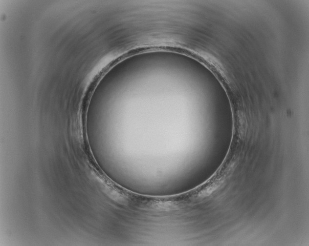 X0000070380982200606121248