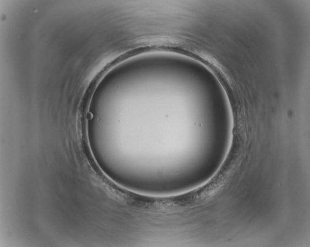 X0000070380983200606121248