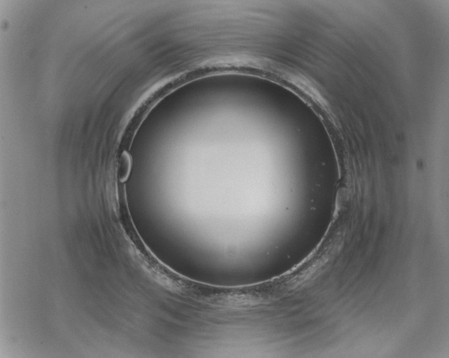 X0000070380984200606121248