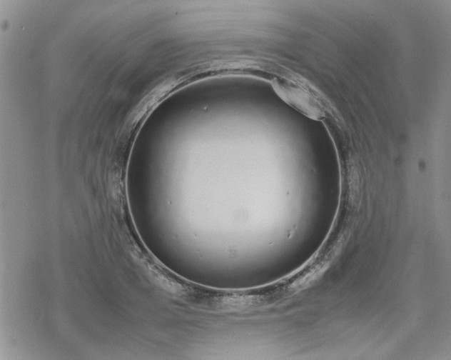 X0000070380985200606121248