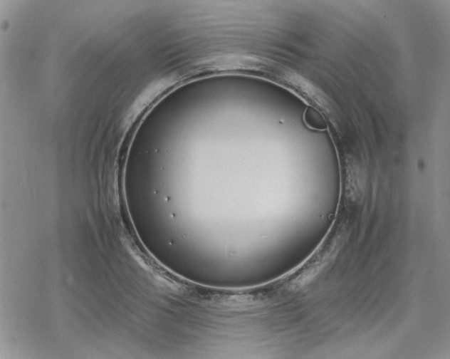 X0000070380986200606121248