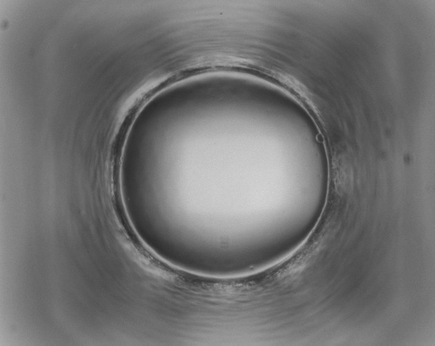 X0000070380987200606121248