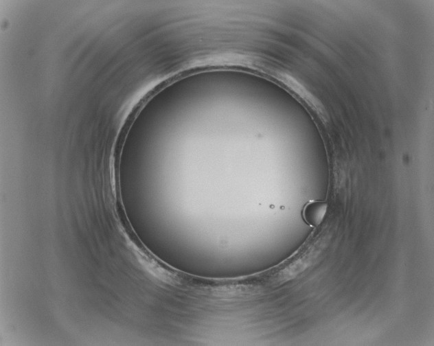 X0000070380988200606121248