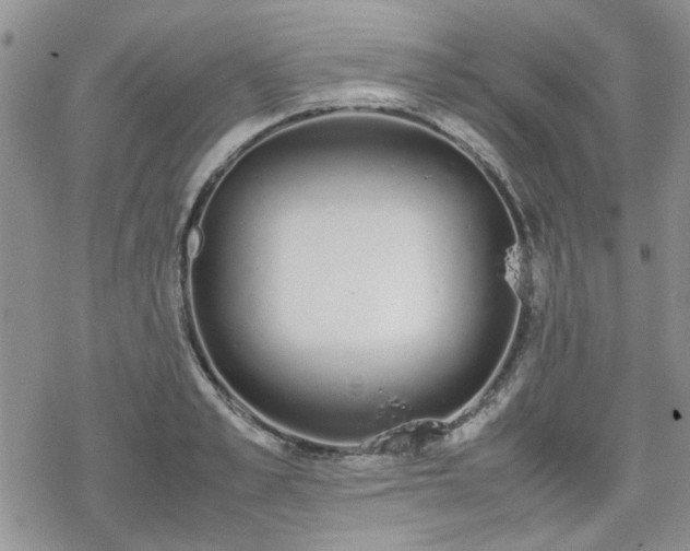 X0000070380989200606121248