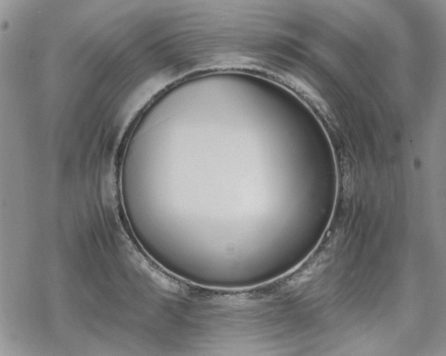 X0000070380990200606121248