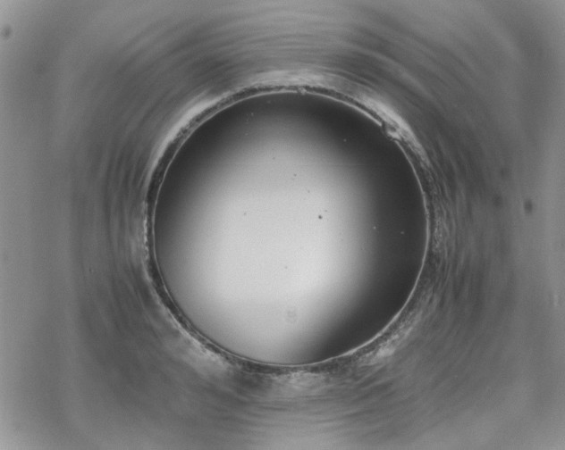 X0000070380992200606121248