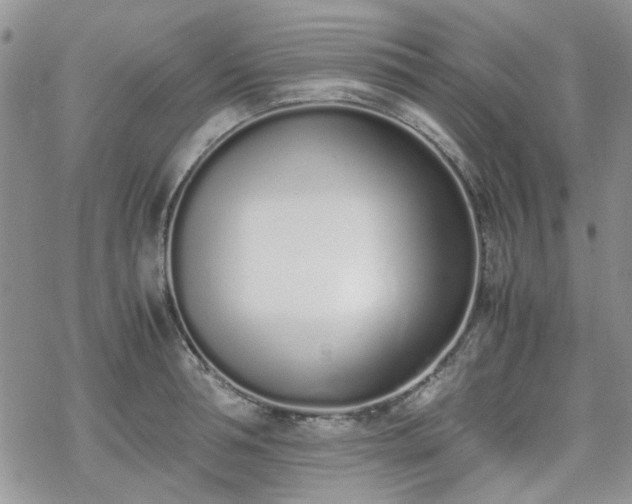 X0000070380994200606121248