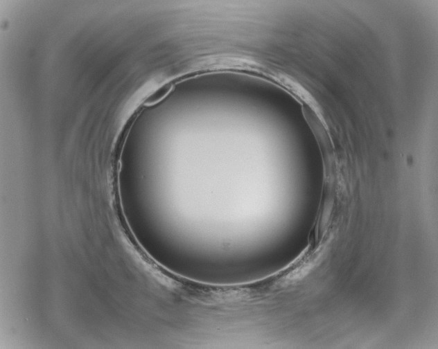 X0000070380997200606121248