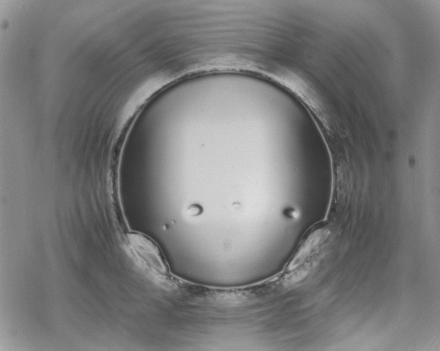 X0000070380998200606121248