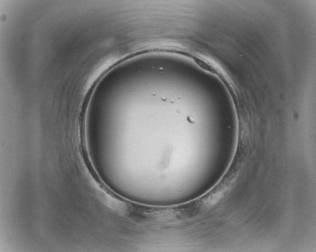 X0000070380999200606121248