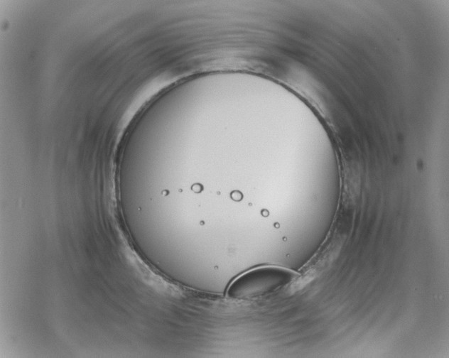 X0000070381000200606121248