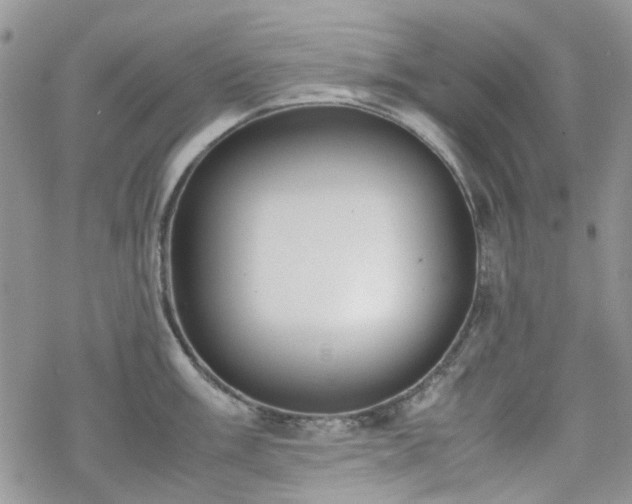 X0000070381003200606121248