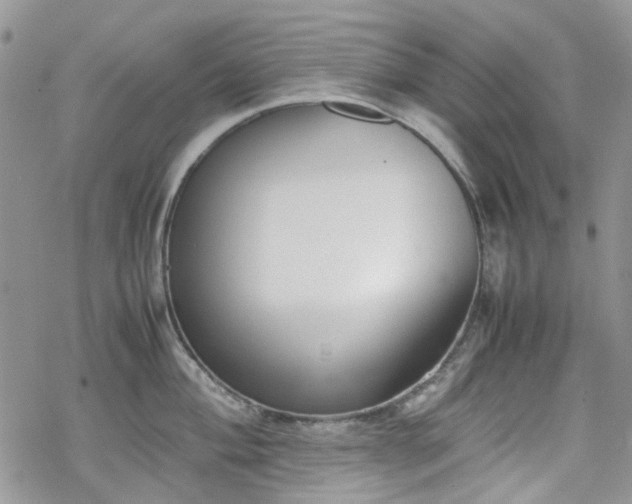 X0000070381004200606121248