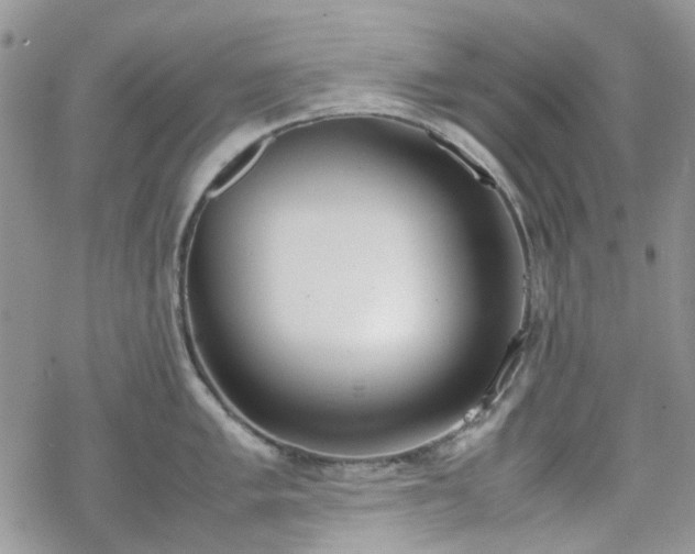 X0000070381005200606121248