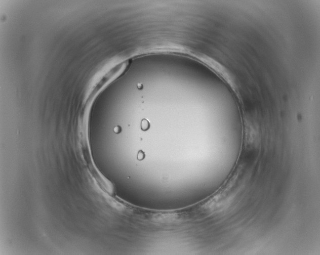 X0000070381006200606121248