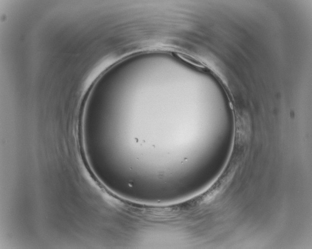 X0000070381007200606121248