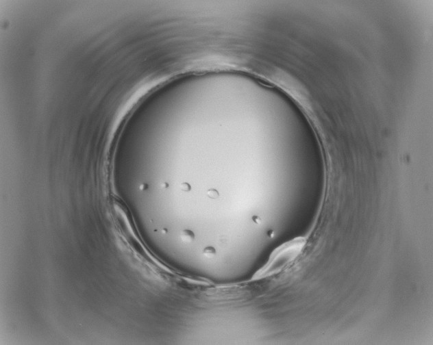 X0000070381008200606121248