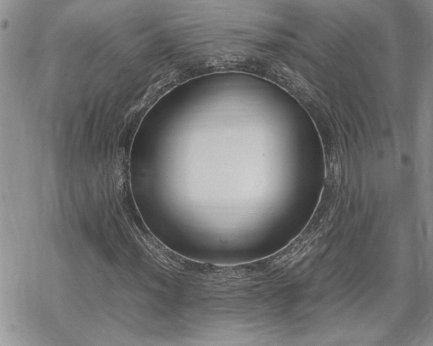 X0000070381012200606121247