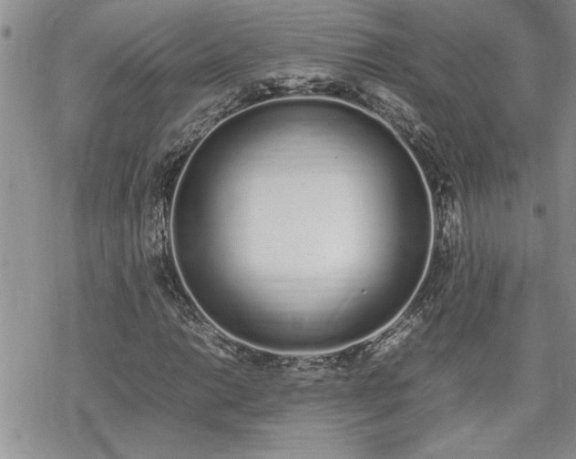 X0000070381014200606121247