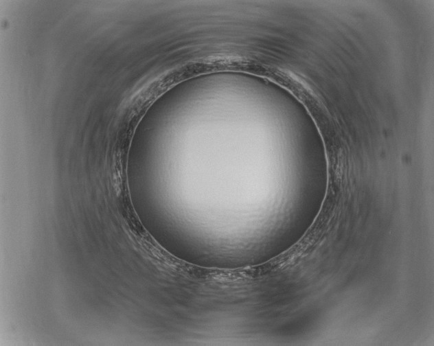 X0000070381015200606121247