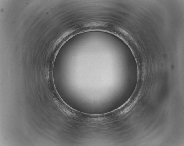 X0000070381017200606121247