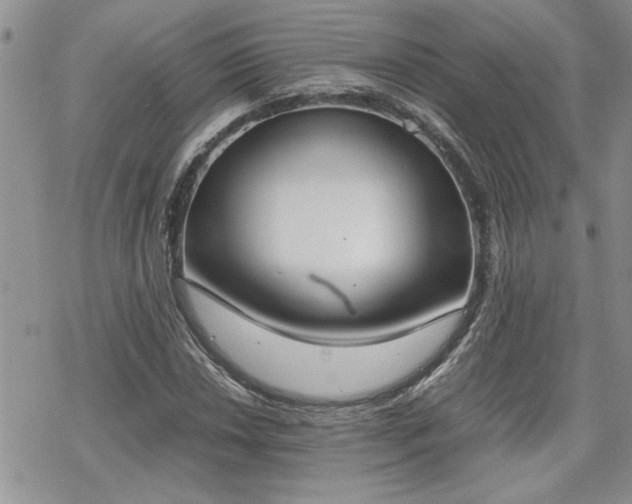 X0000070381018200606121247