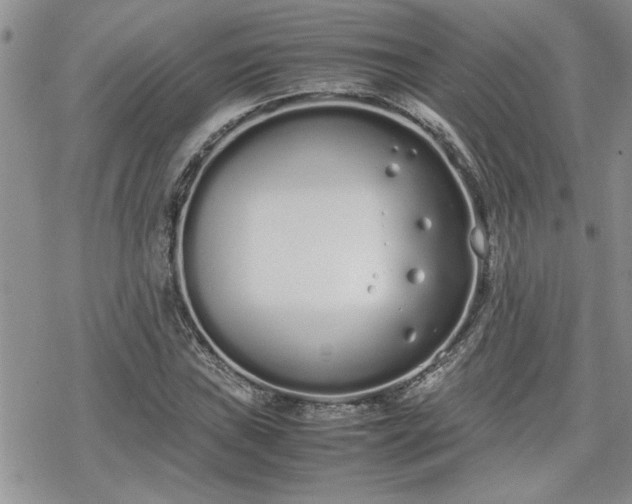 X0000070381019200606121247