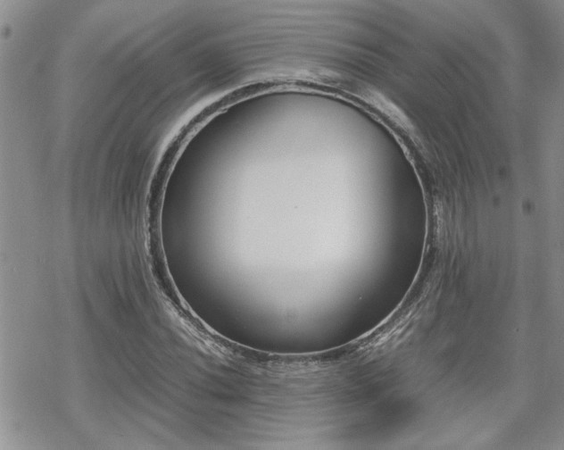 X0000070381020200606121247