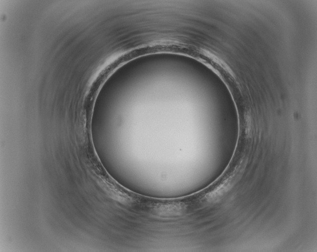 X0000070381021200606121247