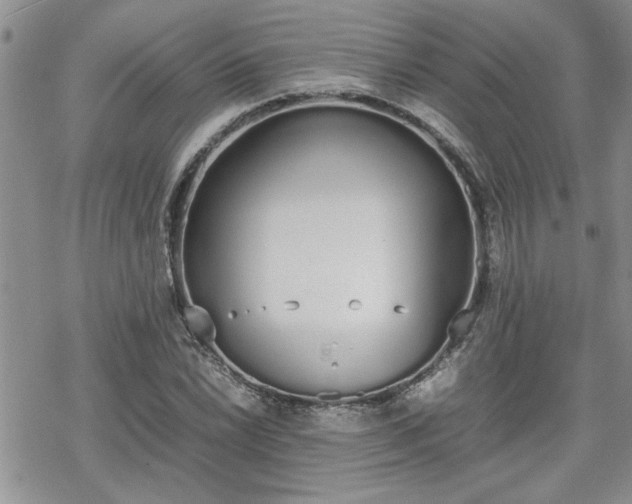 X0000070381022200606121247