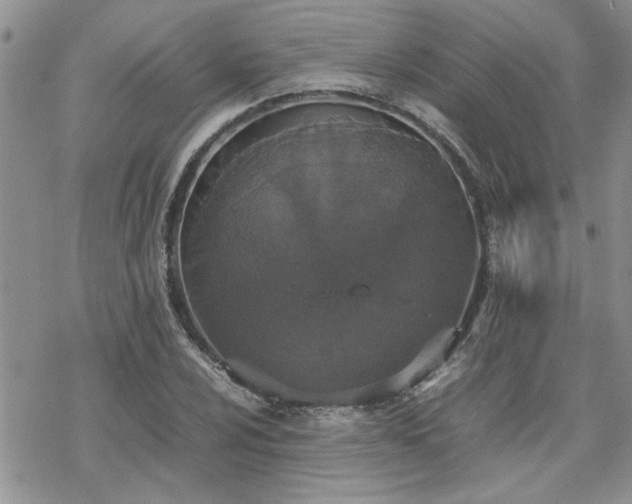 X0000070381024200606121247