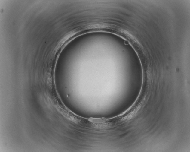 X0000070381025200606121247