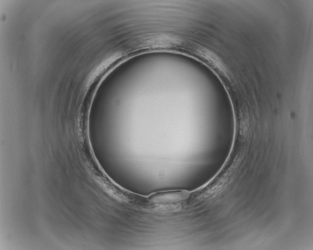 X0000070381026200606121247